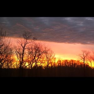 Meet your Posher, Kristin